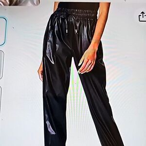 Euc Blank NYC Running Wild Vegan Faux Leather Joggers Size  Track Pant 29